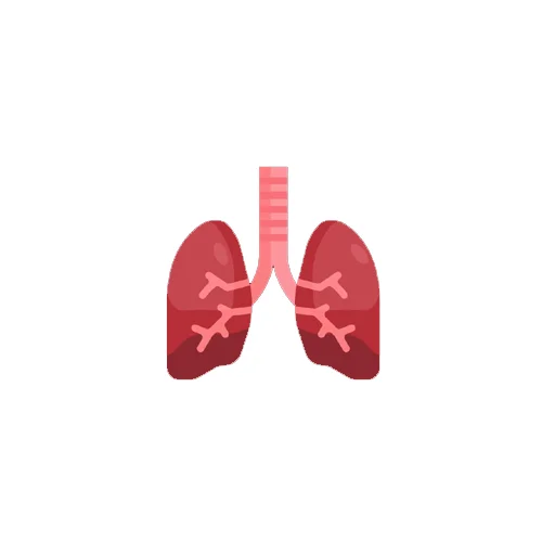 Minimally Invasive Techniques